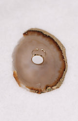 Volange RING DISC